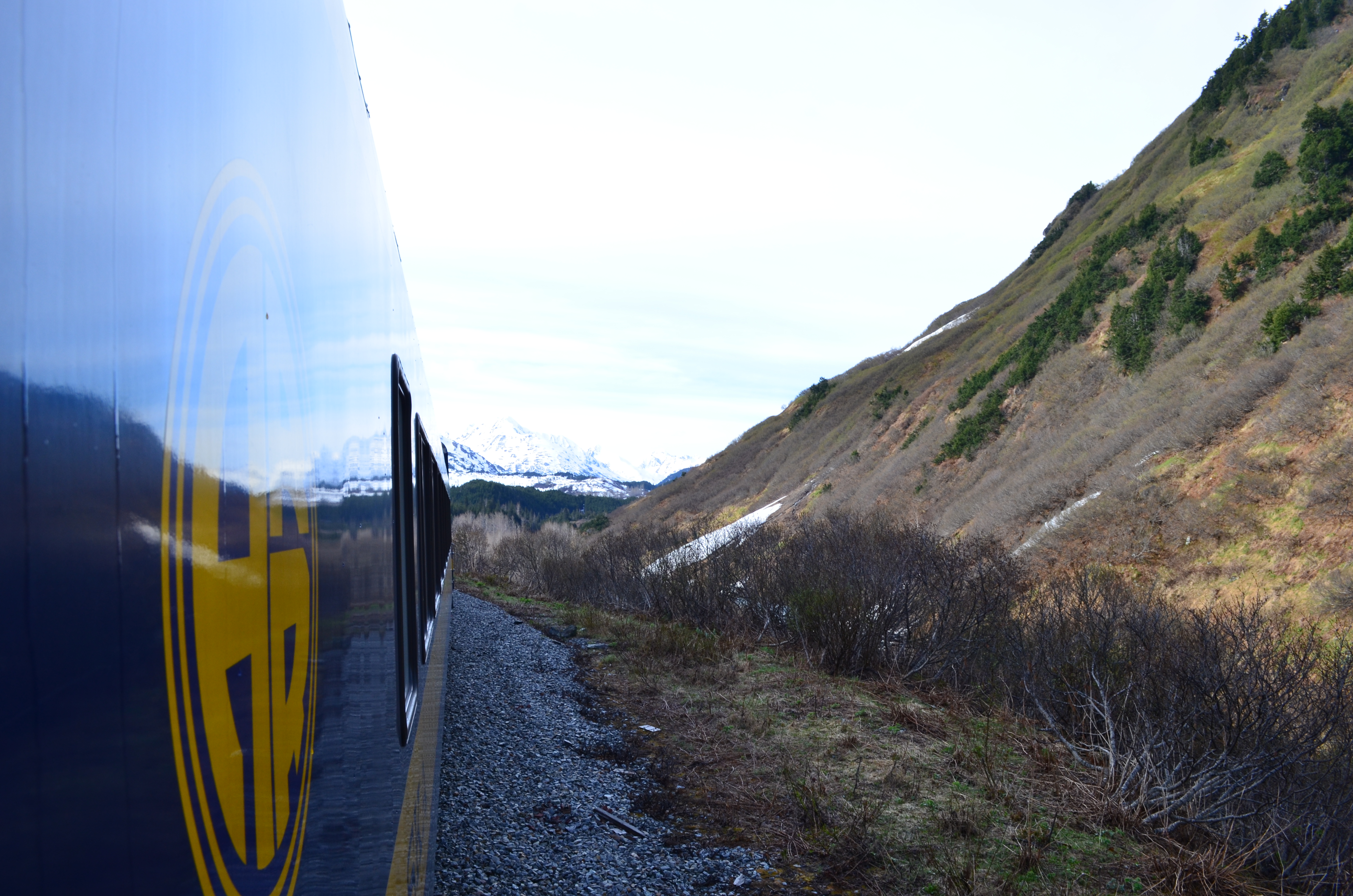 ./2017/08 - Alaska Cruise/05 - Train to Seward/DSC_0539.JPG